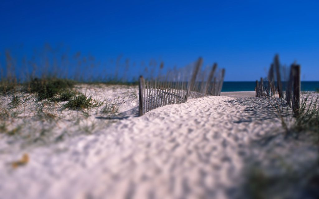 00666 shellisland 2560×1600
