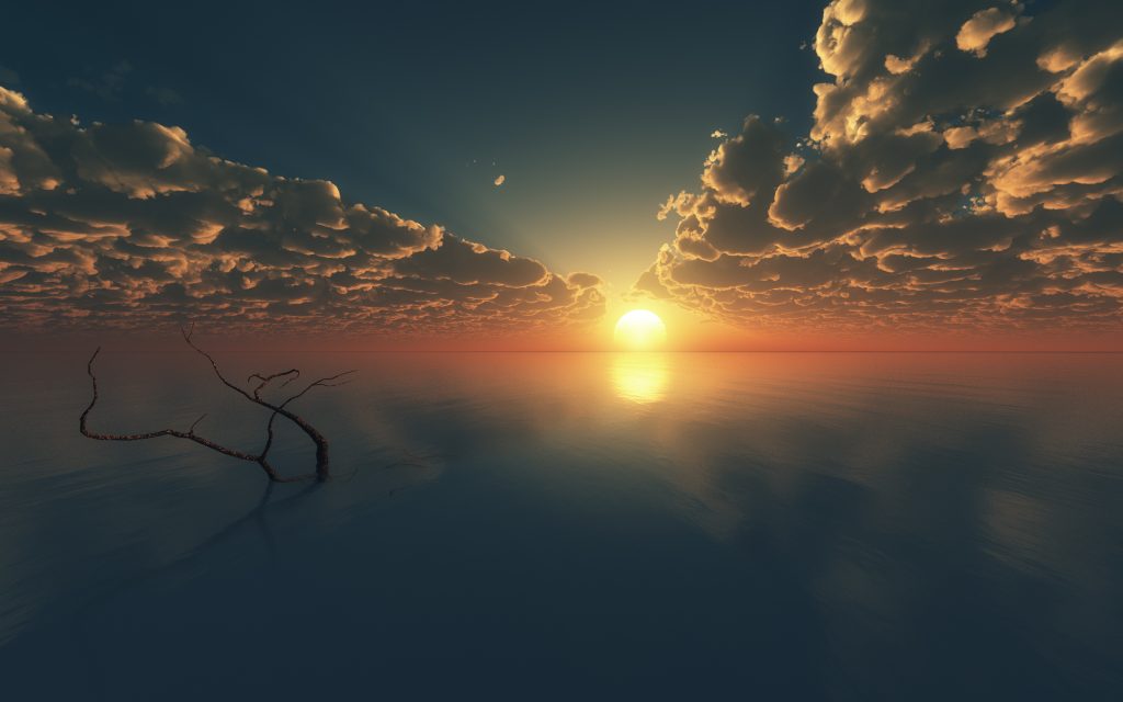 海上日落与枯枝