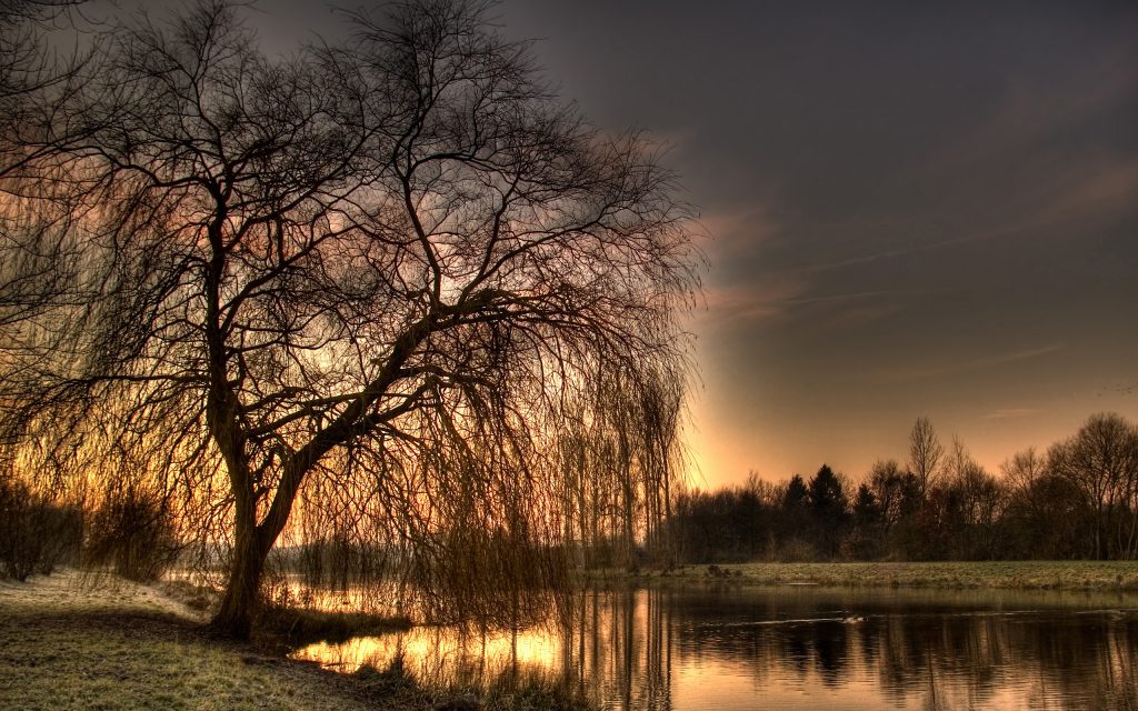 01460 sundaymorningii 2560×1600