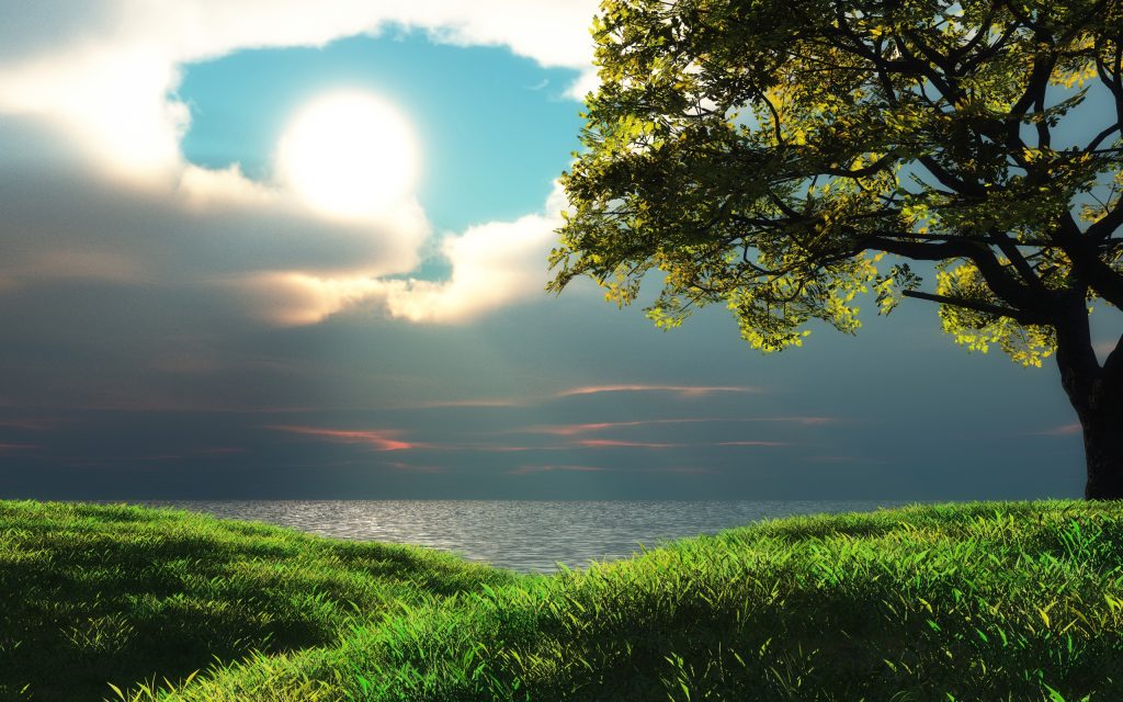 海树夕阳