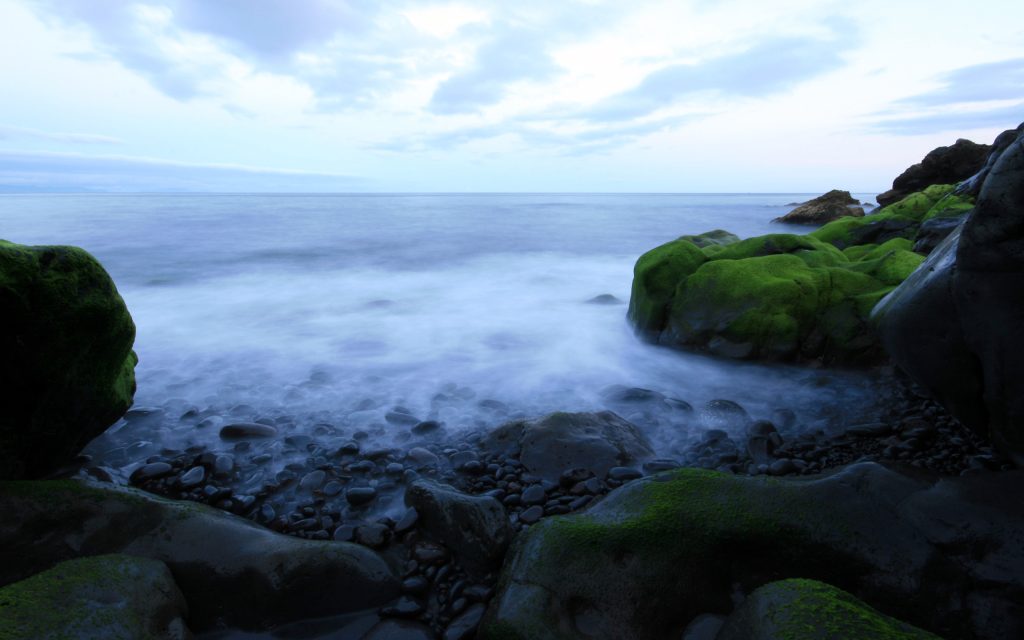 海岸绿意盎然