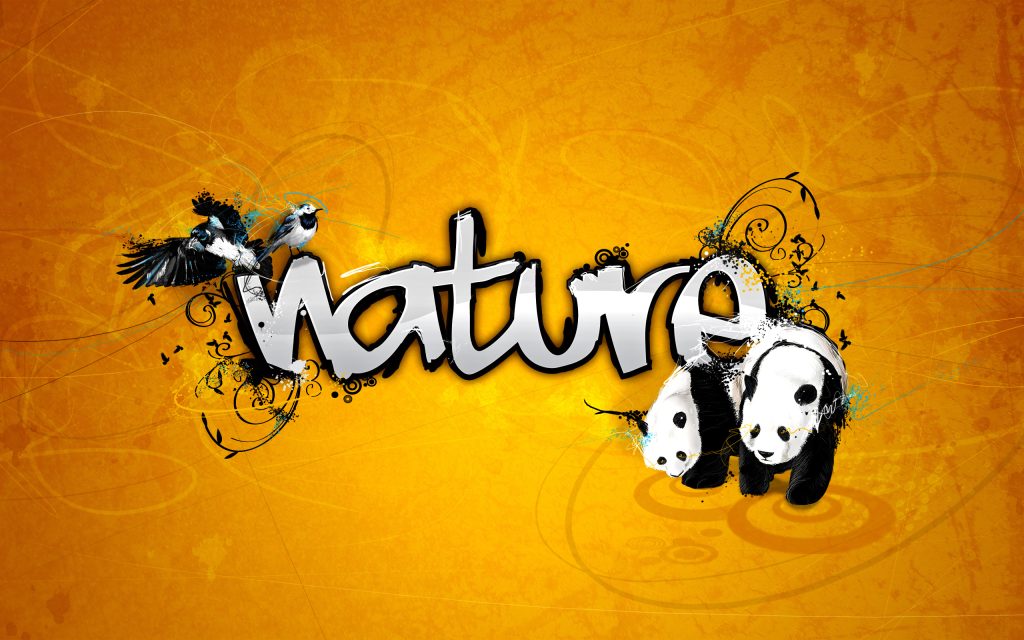 01714 nature 2560×1600
