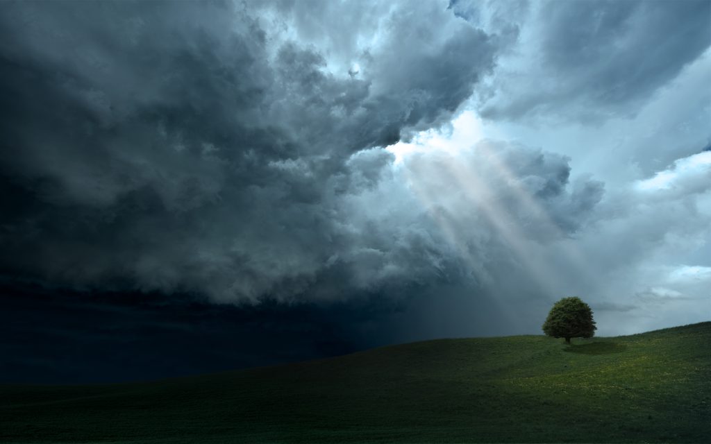 暴风雨中的孤树