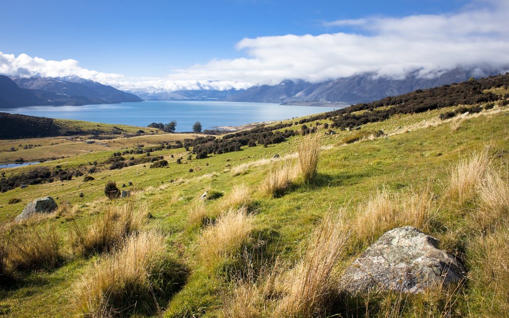 湖畔草地美景