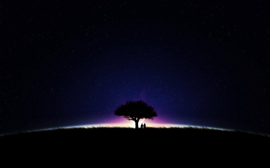 夜空下的树影