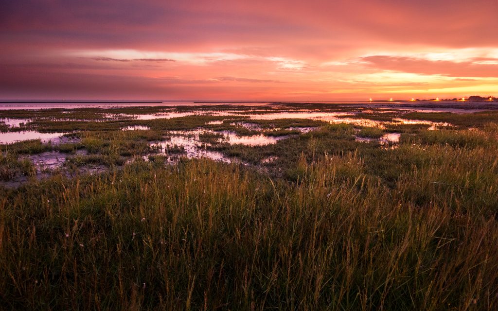 湿地夕阳美景